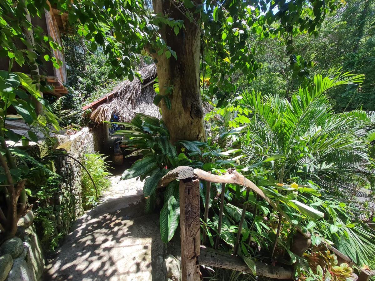 Albergue La Perla Tayrona Zaino Exterior foto