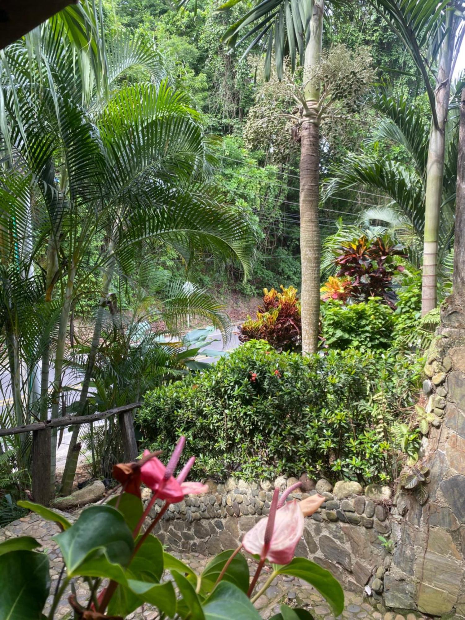 Albergue La Perla Tayrona Zaino Exterior foto